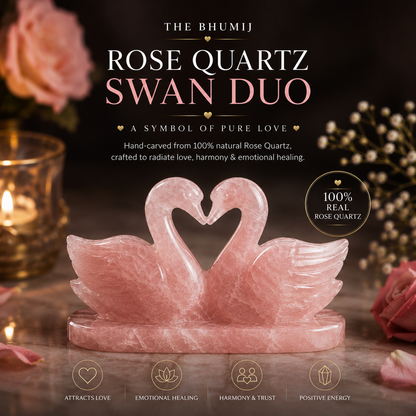 Prem Jodi — Rose Quartz Swan Duo