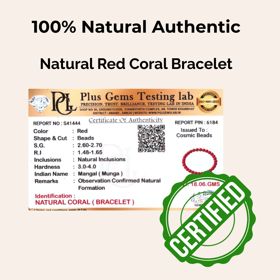 Red Coral Bracelet — Strength & Vitality