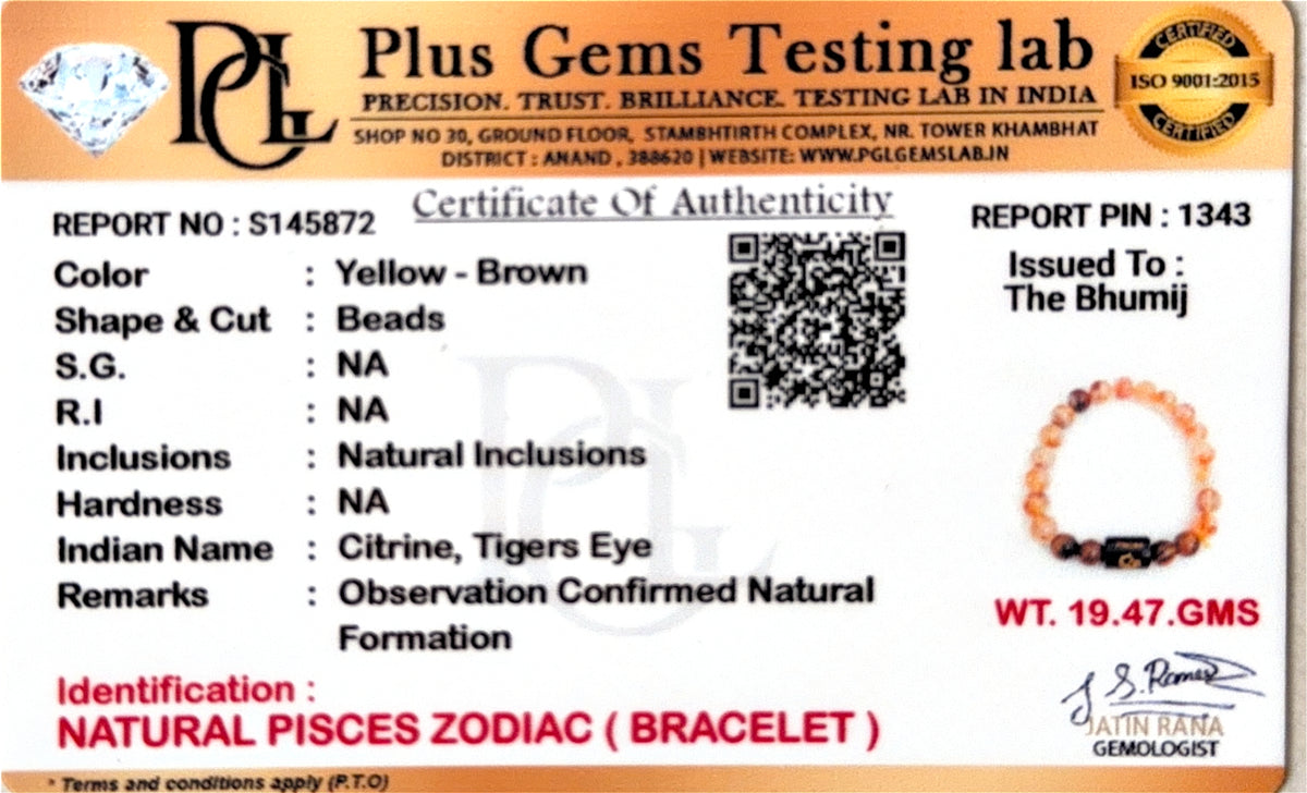 Pisces (मीन राशि) Zodiac Citrine & Tiger Eye Bracelet