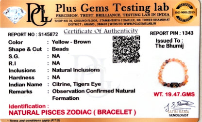 Pisces (मीन राशि) Zodiac Citrine & Tiger Eye Bracelet